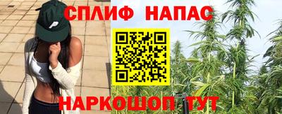 ECSTASY Бузулук